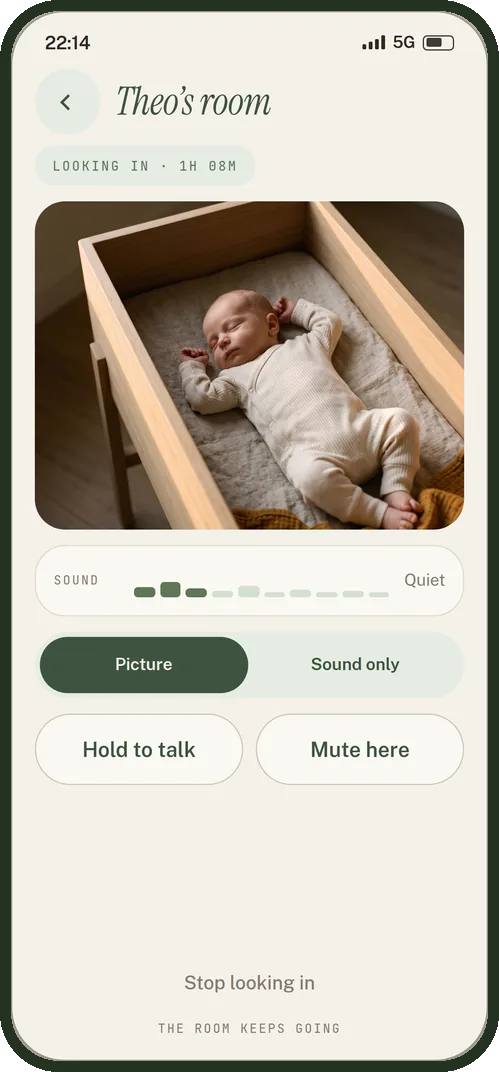 Room preview: Theo's room, looking in for 1h 08m, a picture of the sleeping baby, a sound level reading Quiet, Hold to talk and Mute here.